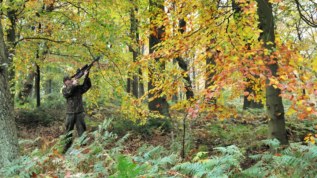 Hunting: A shooting paradise lost