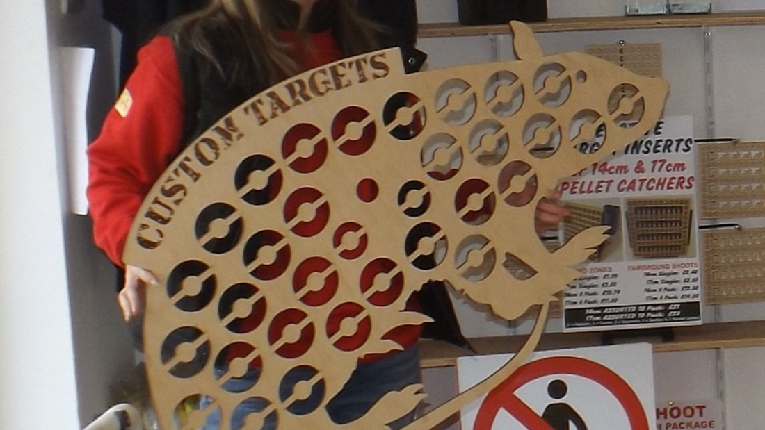 The Custom Targets story: Targeting serious fun!