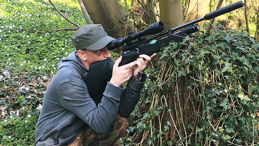 Hardman’s hunting: Seeing the wood through the trees