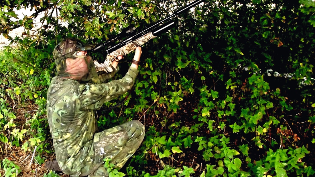 Hunting: Taking the slow approach for new permission