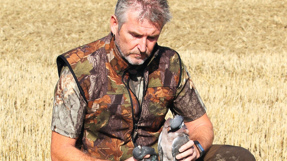 Using decoys and hunting pigeons with Mick Garvey