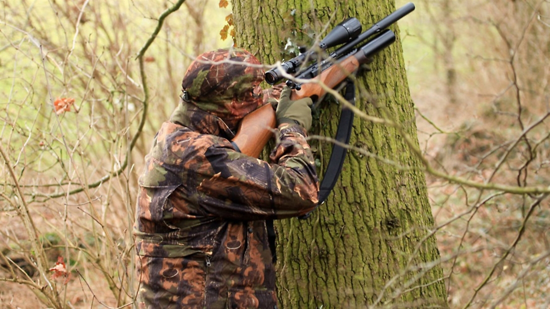 Airgun Guru: How should I aim when hunting squirrels?