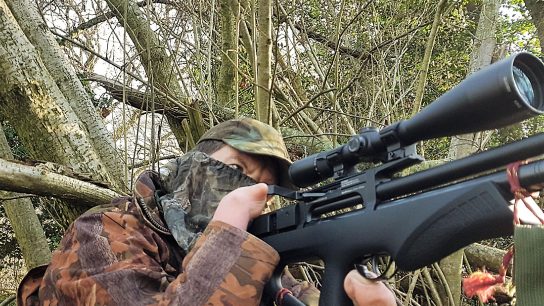 Hunting squirrels with the BSA Defiant