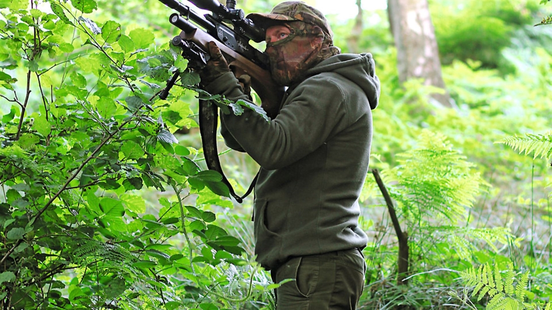 Tips and tricks for successful pigeon shooting