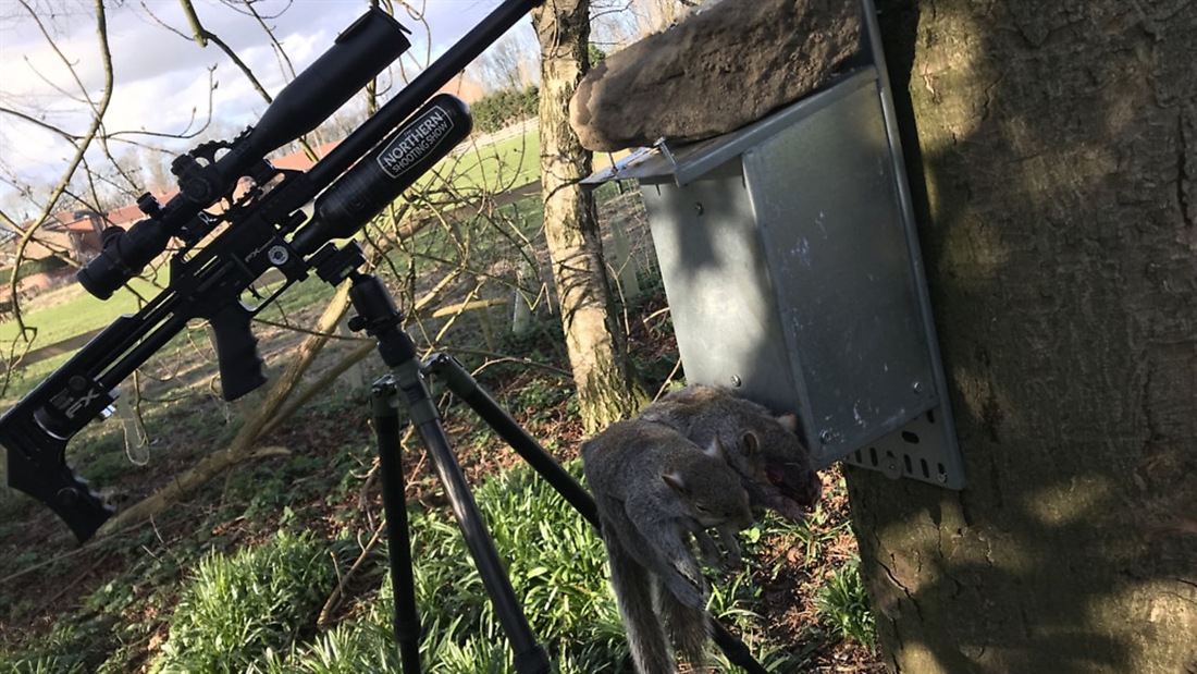 MICK GARVEY’S HUNTING: SQUIRRELS