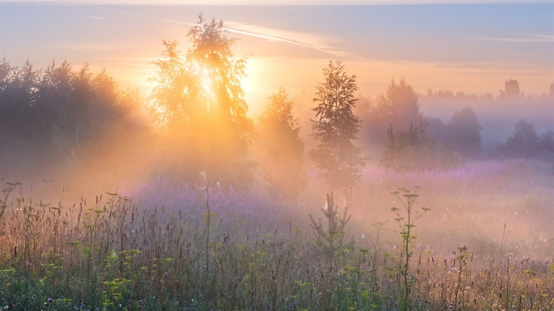 How to: hunt in misty/foggy weather