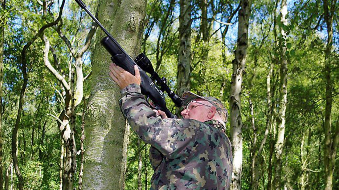 How to: Take successful elevated shots with your air rifle