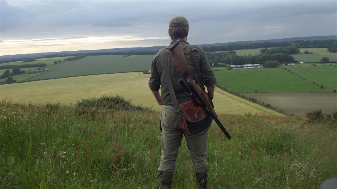 Rules of the hunt: air rifle law UK