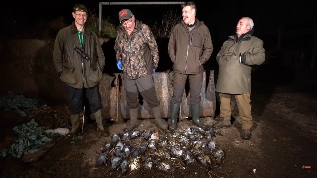 Watch: mega feral pigeon airgun shoot!