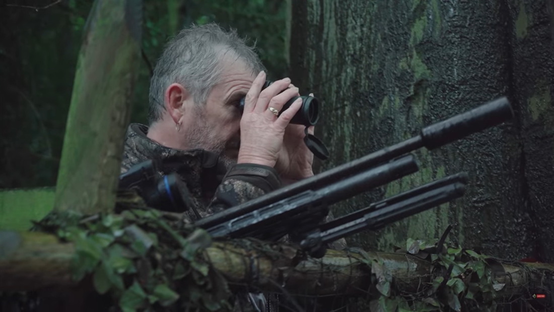 Watch: Grey squirrel clear-up mission!