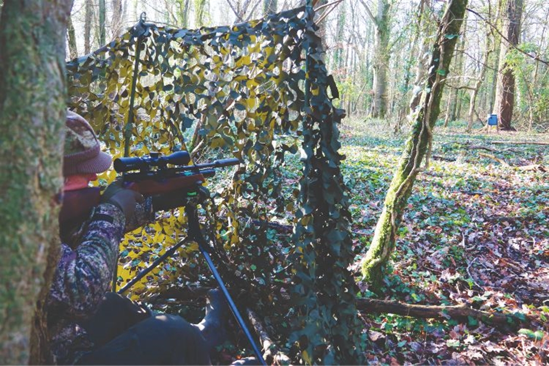 Grey squirrel shooting: bait &#038; wait tactics