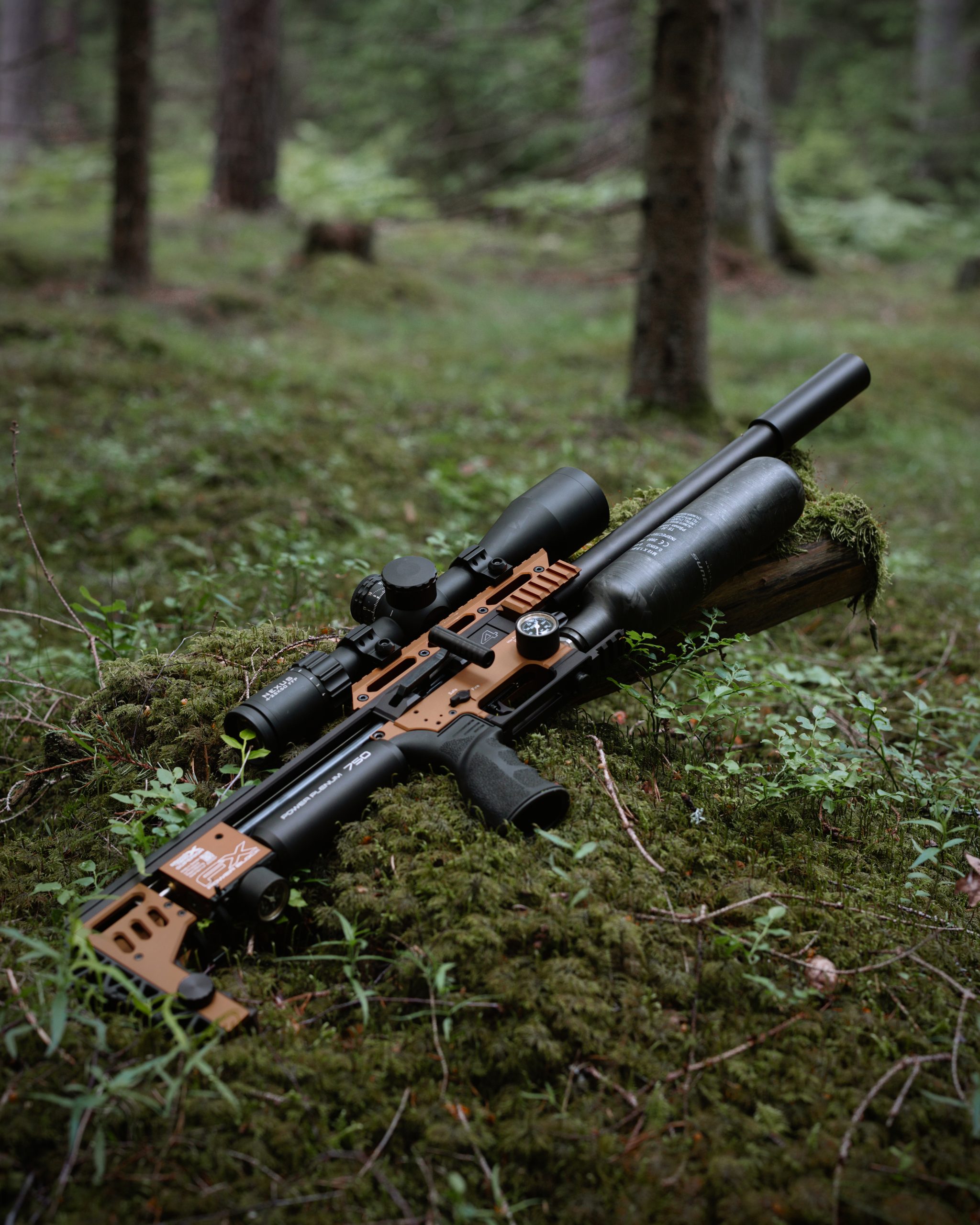 Air rifle leaning on a woodland floor