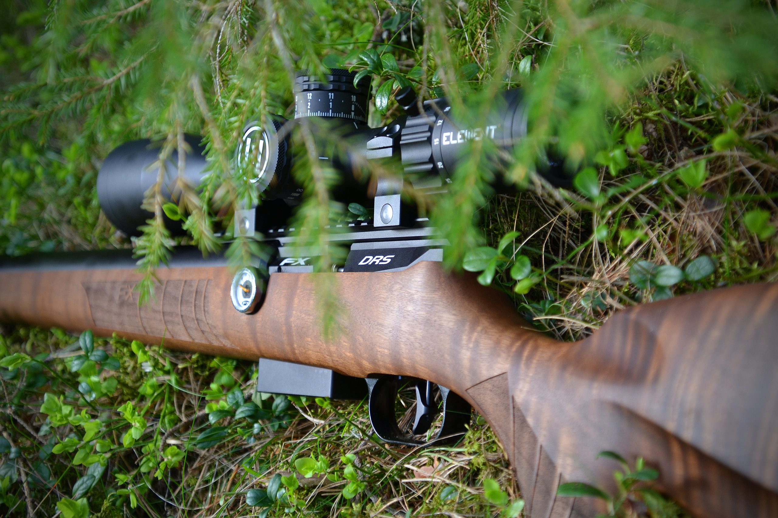 Air rifle laying in greenery