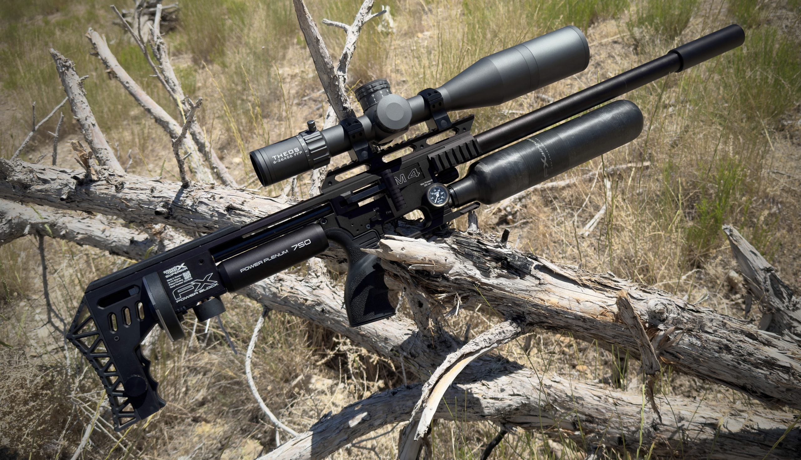 An air rifle perched on a branch