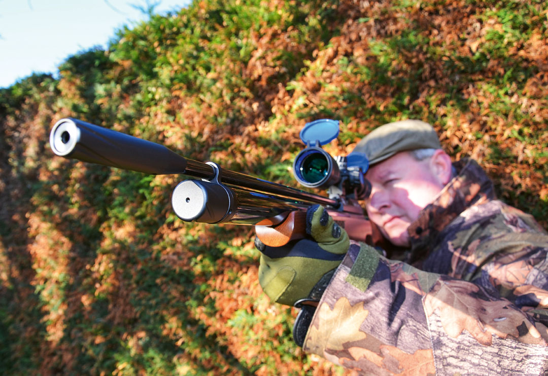 Budget air rifles for novices