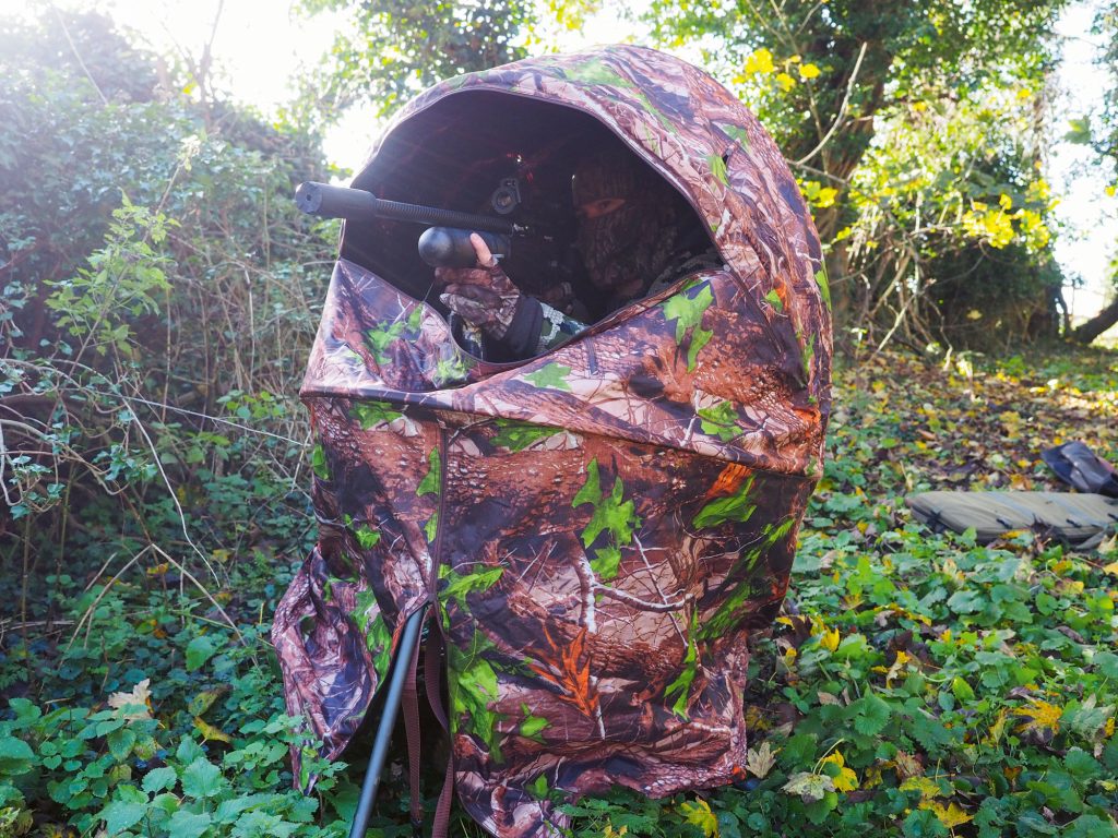 Grey squirrel control with an air rifle tips