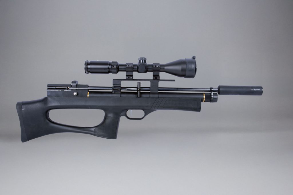 Precihole Minotaur air rifle review