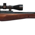 BSA introduces the Meteor CLX