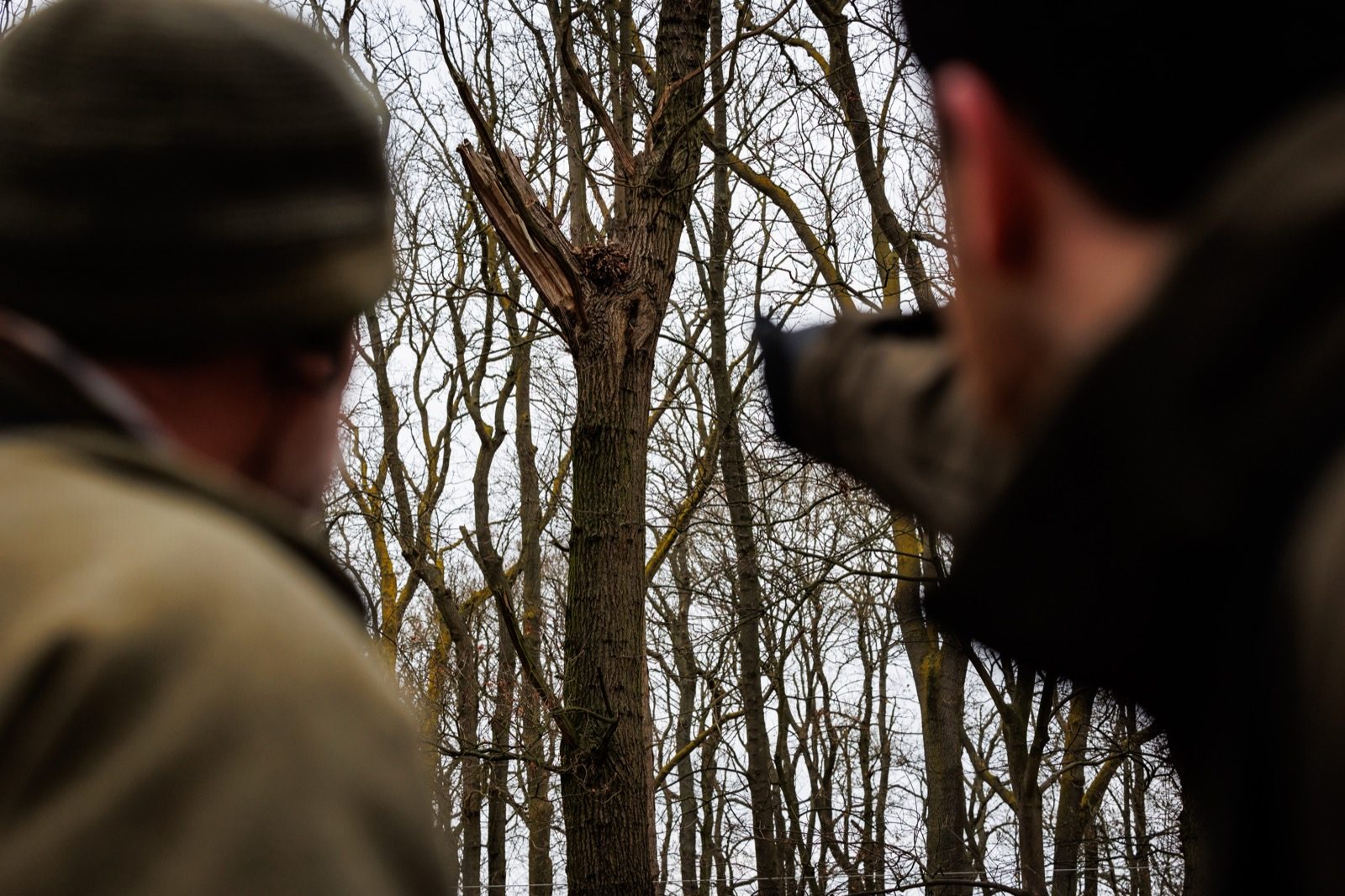 Two airgunners watching the canopy for grey squirrels in winter woodland