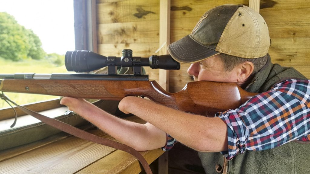 Seven reasons springers are better than PCPs