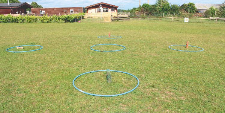 The gundog training clock face set up